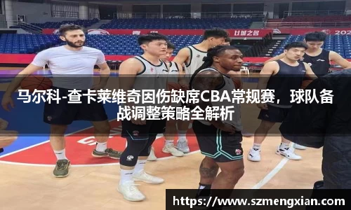 马尔科-查卡莱维奇因伤缺席CBA常规赛，球队备战调整策略全解析