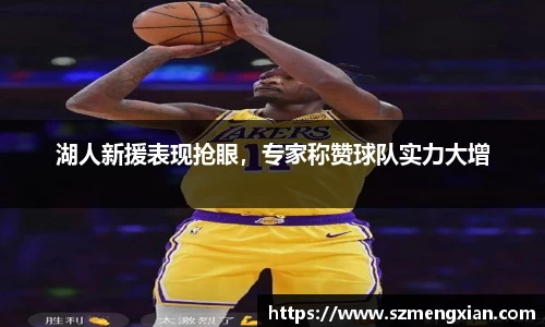 湖人新援表现抢眼，专家称赞球队实力大增