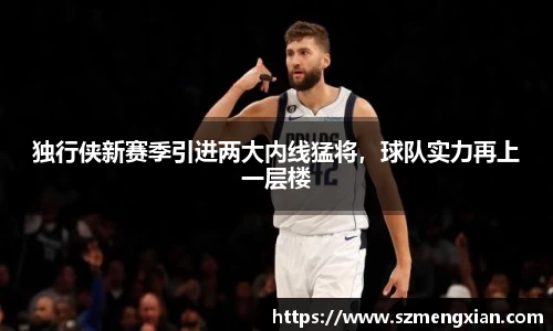 独行侠新赛季引进两大内线猛将，球队实力再上一层楼