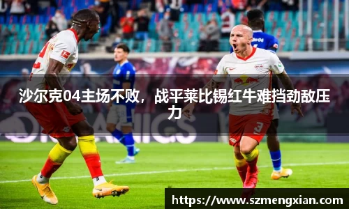 沙尔克04主场不败，战平莱比锡红牛难挡劲敌压力