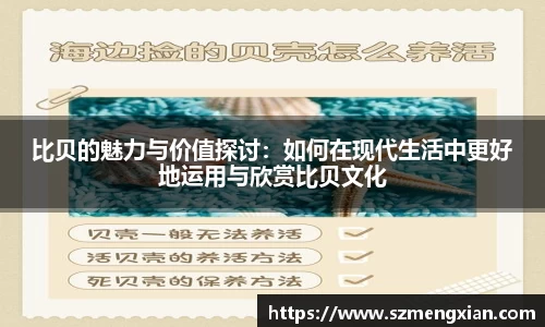 比贝的魅力与价值探讨：如何在现代生活中更好地运用与欣赏比贝文化