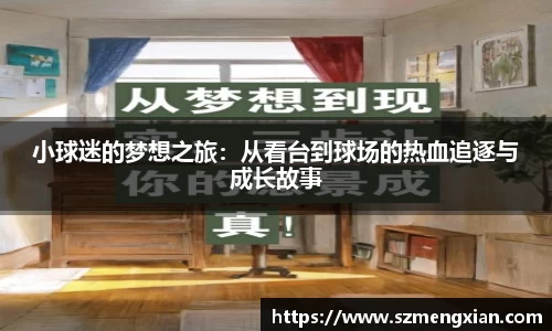 小球迷的梦想之旅：从看台到球场的热血追逐与成长故事