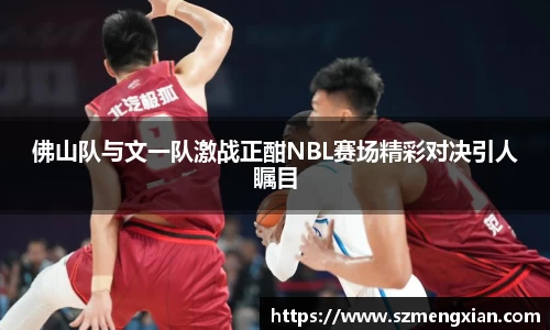 佛山队与文一队激战正酣NBL赛场精彩对决引人瞩目