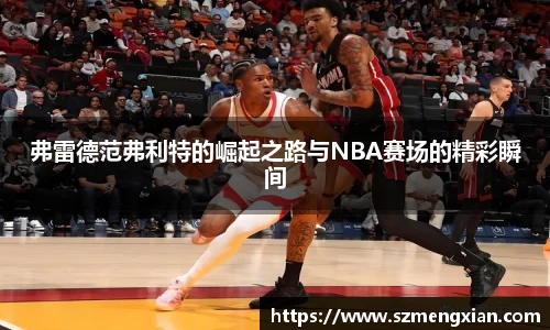弗雷德范弗利特的崛起之路与NBA赛场的精彩瞬间